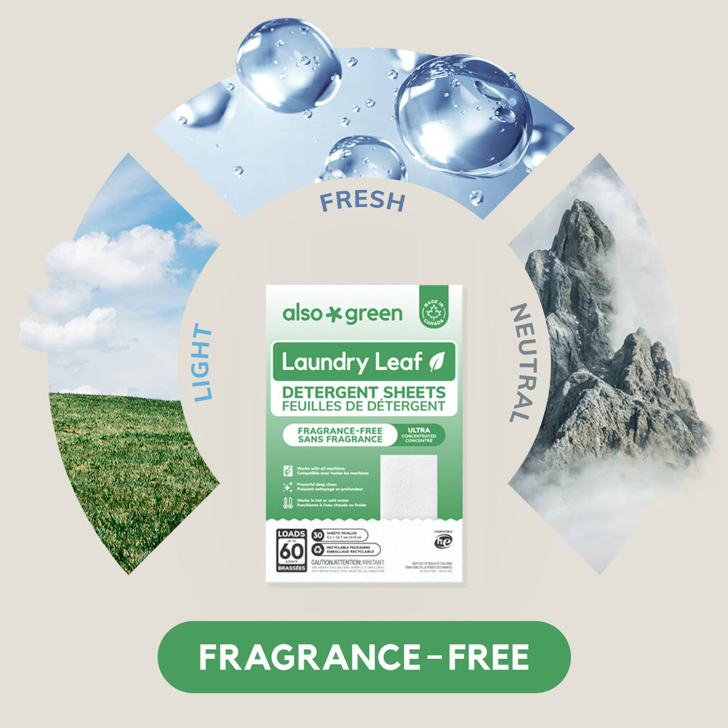 Plastic-free laundry detergent sheets, photo 11