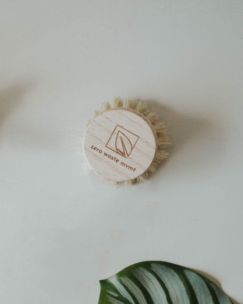 Wooden dish brush replacement head